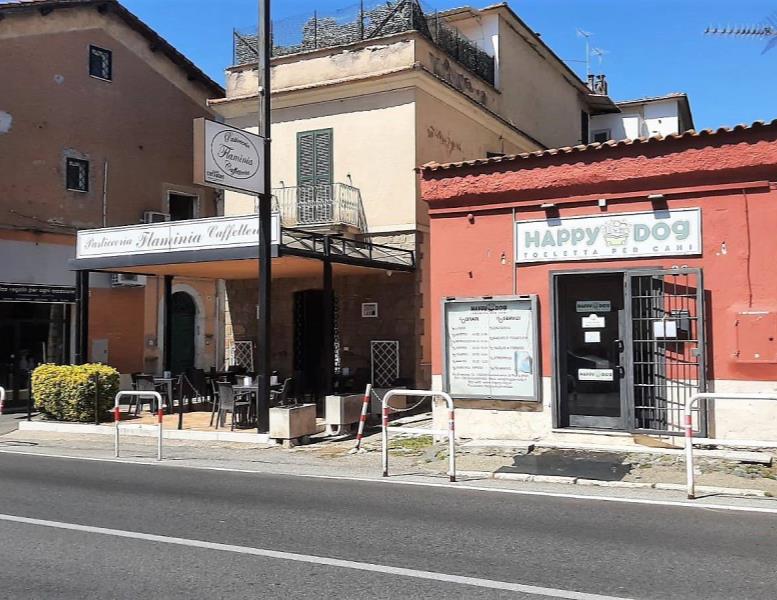 immagine annuncio 6 di 9