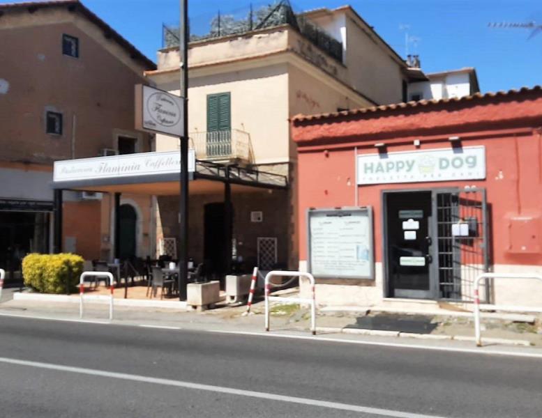 immagine annuncio 4 di 9