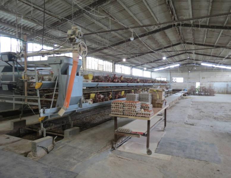 immagine annuncio 1 di 3