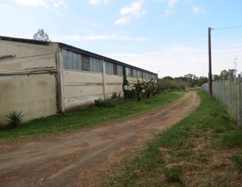 immagine annuncio 2 di 3