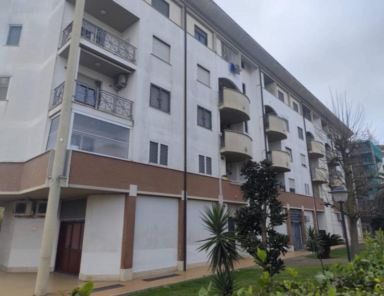 immagine annuncio 1 di 2