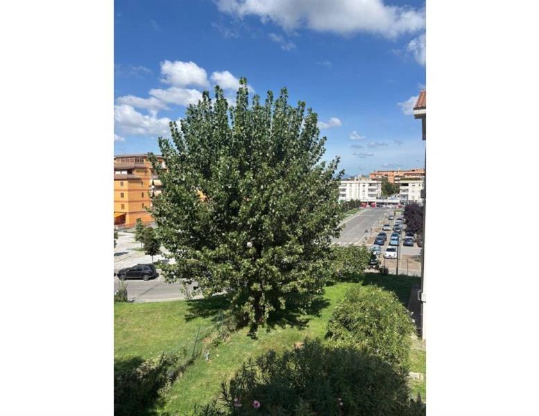 immagine annuncio 8 di 14