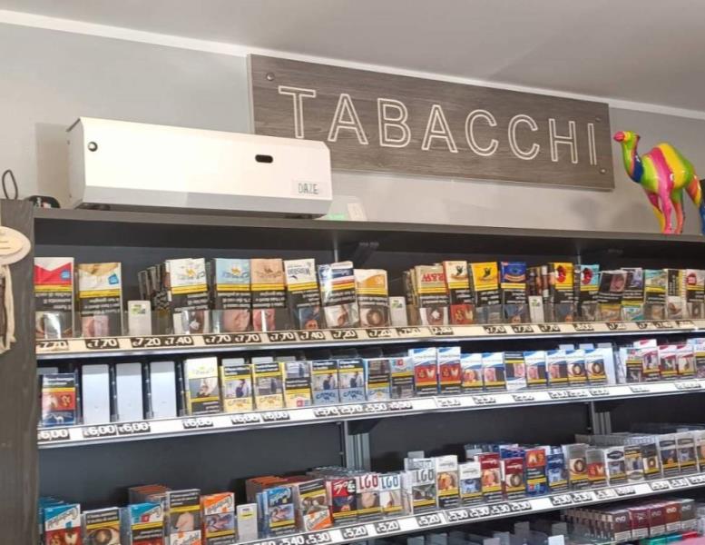 immagine annuncio 11 di 14