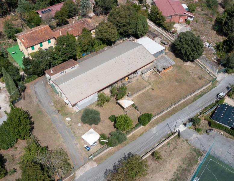 immagine annuncio 9 di 14