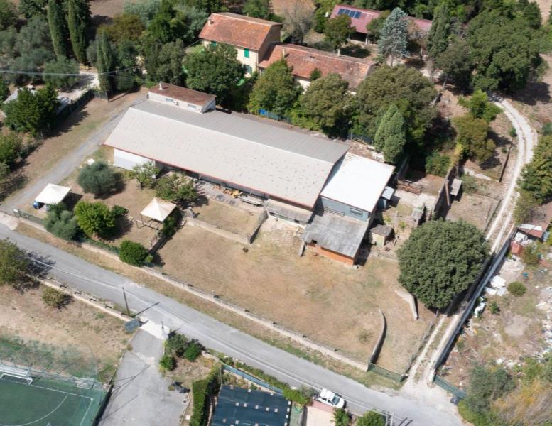 immagine annuncio 10 di 14