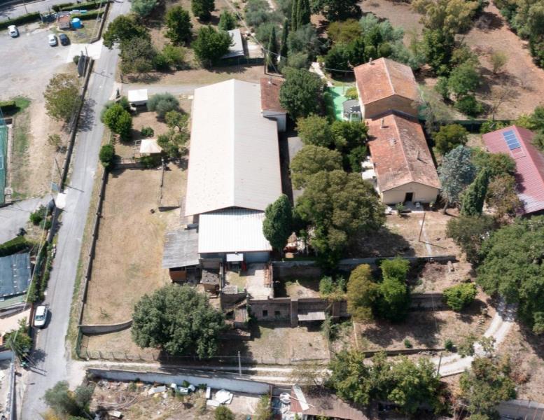 immagine annuncio 11 di 14