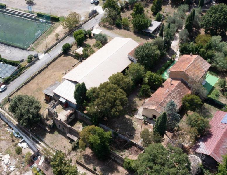 immagine annuncio 12 di 14