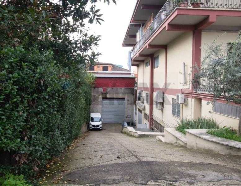 immagine annuncio 4 di 6