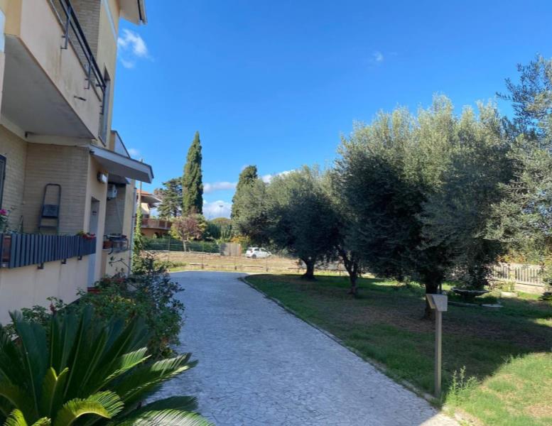 immagine annuncio 4 di 8