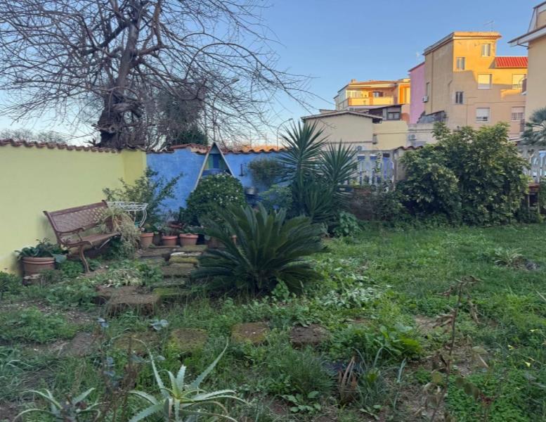 immagine annuncio 12 di 14