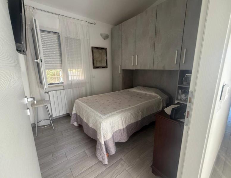 immagine annuncio 3 di 14