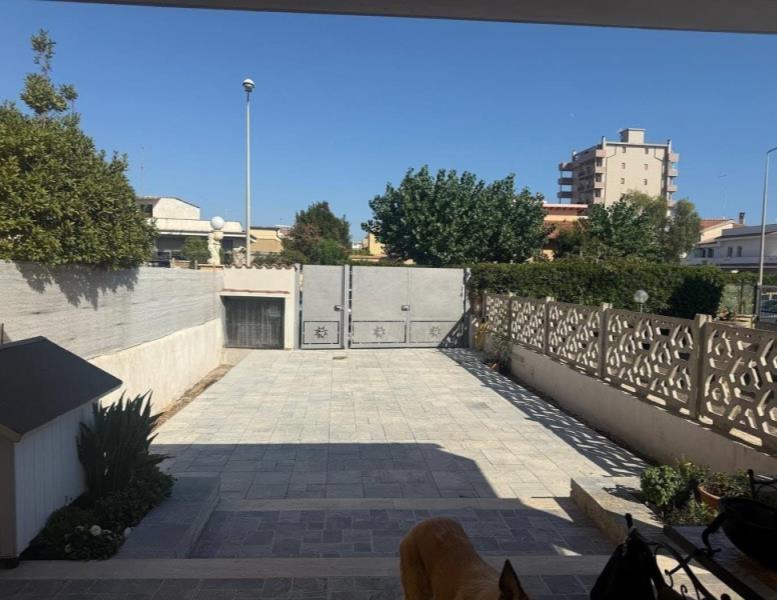 immagine annuncio 12 di 14