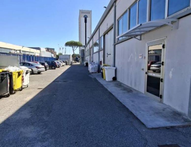 immagine annuncio 5 di 12