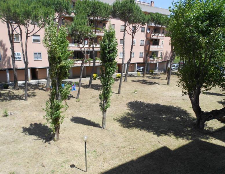 immagine annuncio 9 di 11
