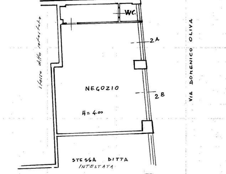 immagine annuncio 9 di 11