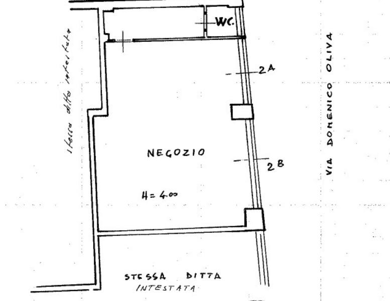 immagine annuncio 10 di 11