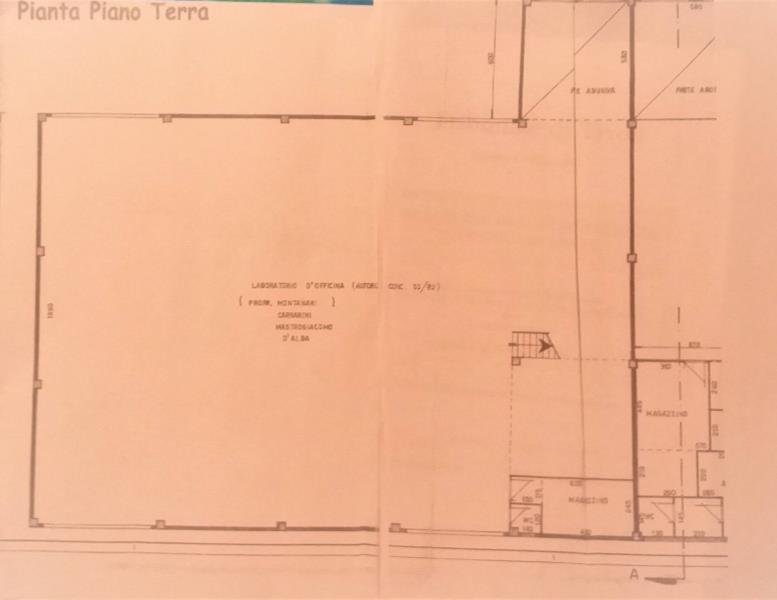 immagine annuncio 14 di 15