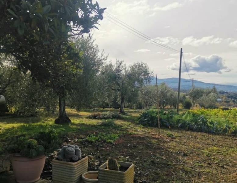 immagine annuncio 8 di 12