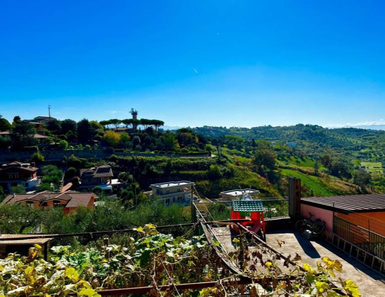 immagine annuncio 5 di 6