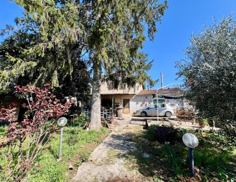 immagine annuncio 3 di 11