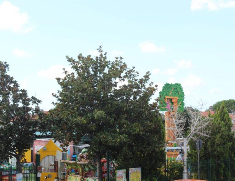 immagine annuncio 7 di 15