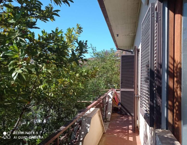 immagine annuncio 8 di 13