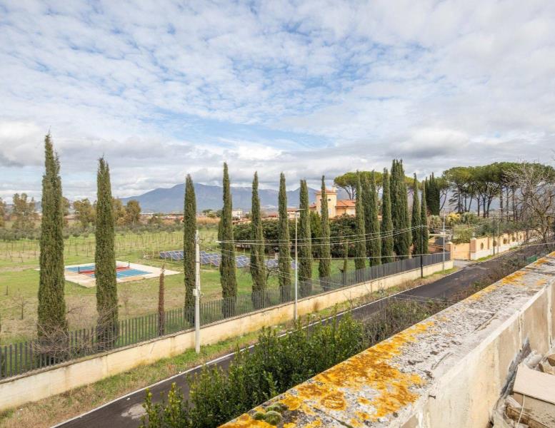 immagine annuncio 10 di 14