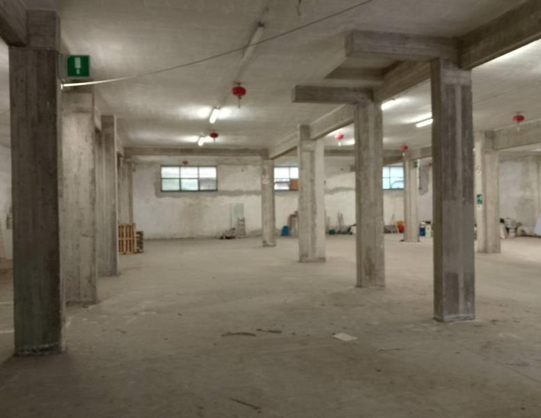 immagine annuncio 6 di 8