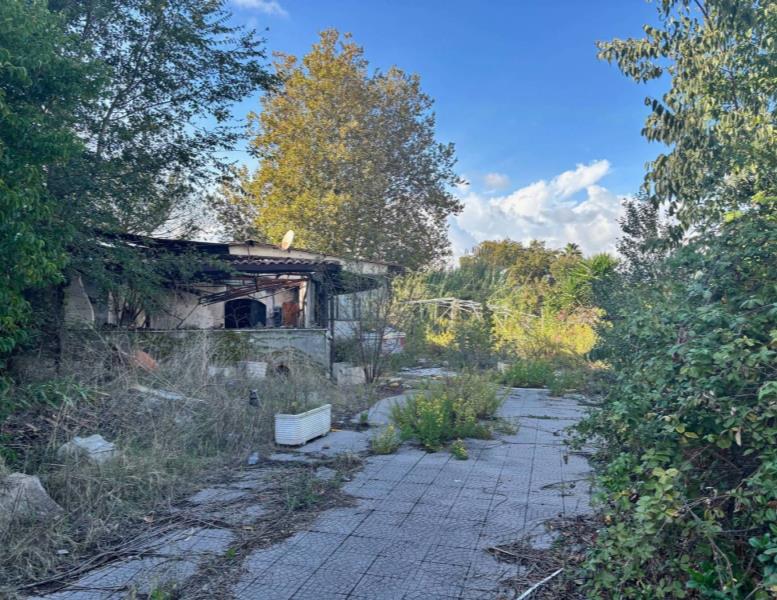 immagine annuncio 1 di 3