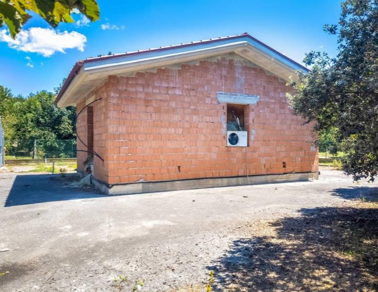 immagine annuncio 6 di 14