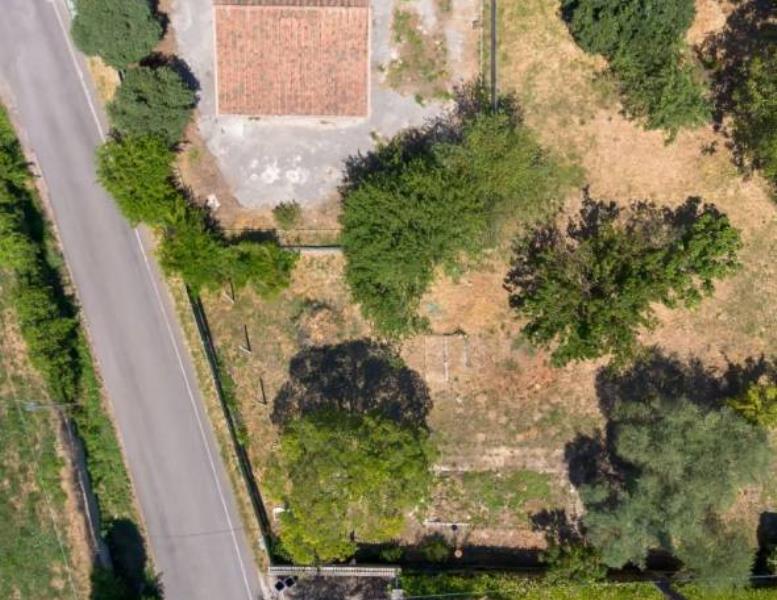 immagine annuncio 11 di 14