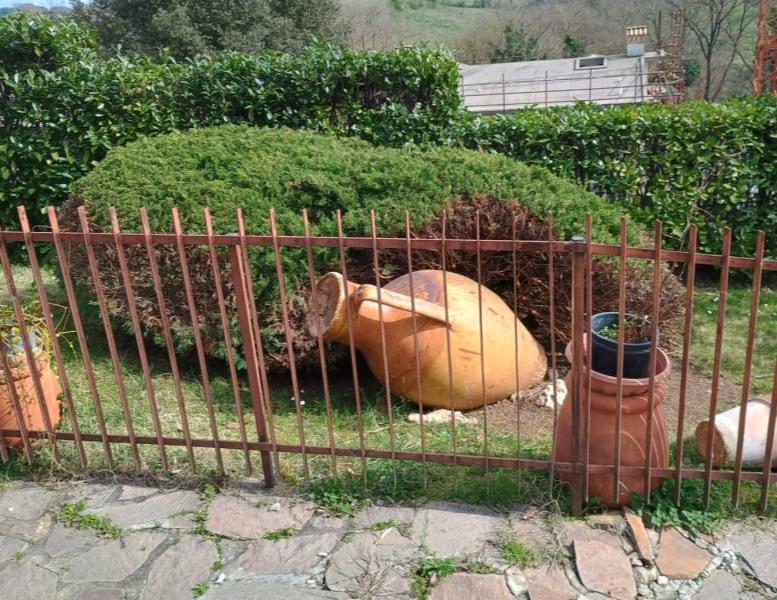 immagine annuncio 6 di 15