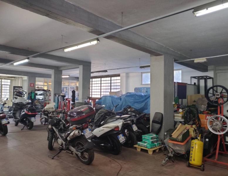 immagine annuncio 9 di 15