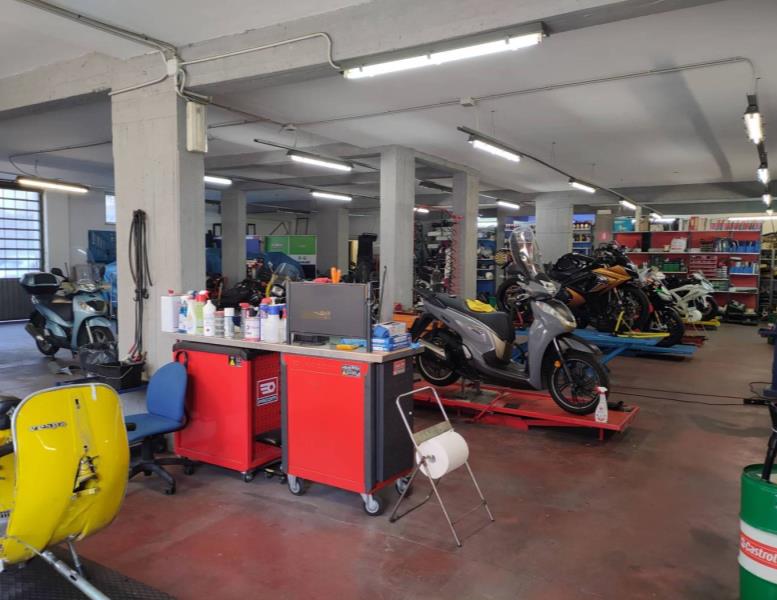 immagine annuncio 12 di 15