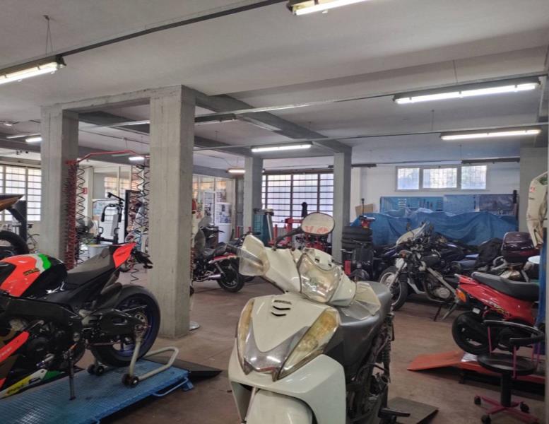 immagine annuncio 10 di 15