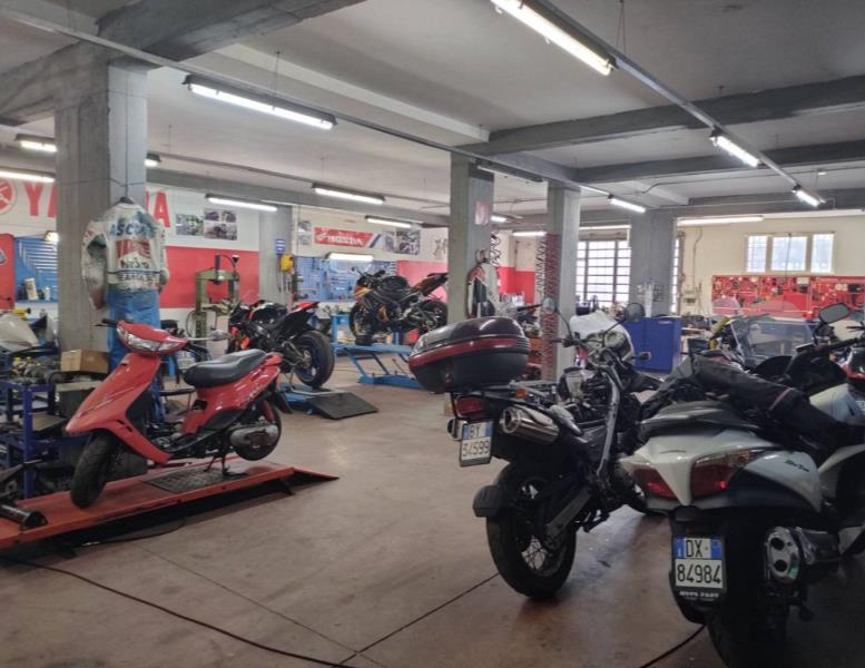 immagine annuncio 6 di 15