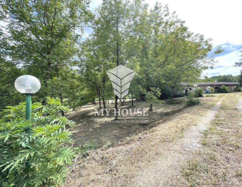 immagine annuncio 12 di 15