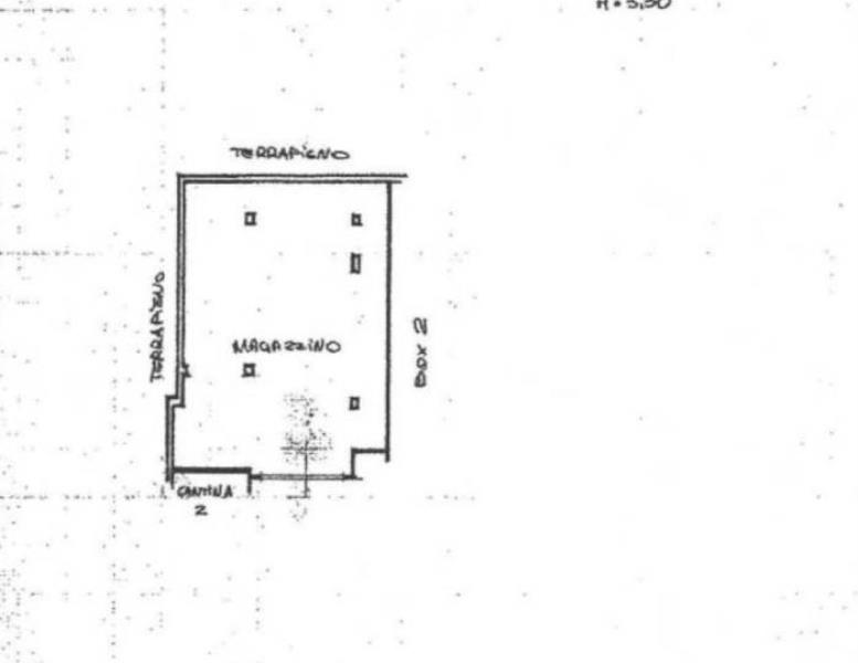 immagine annuncio 11 di 12