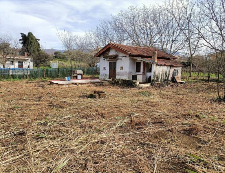 immagine annuncio 4 di 13