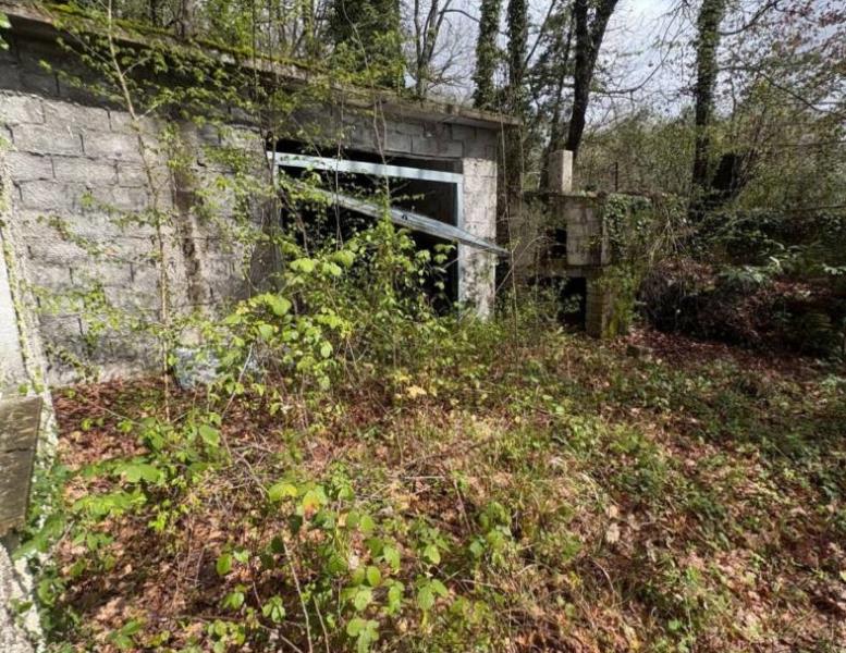 immagine annuncio 6 di 8