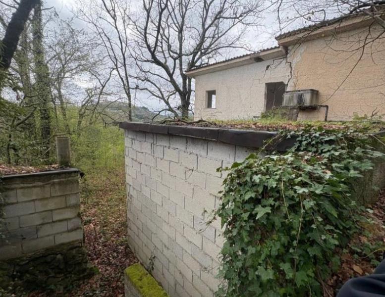 immagine annuncio 3 di 8