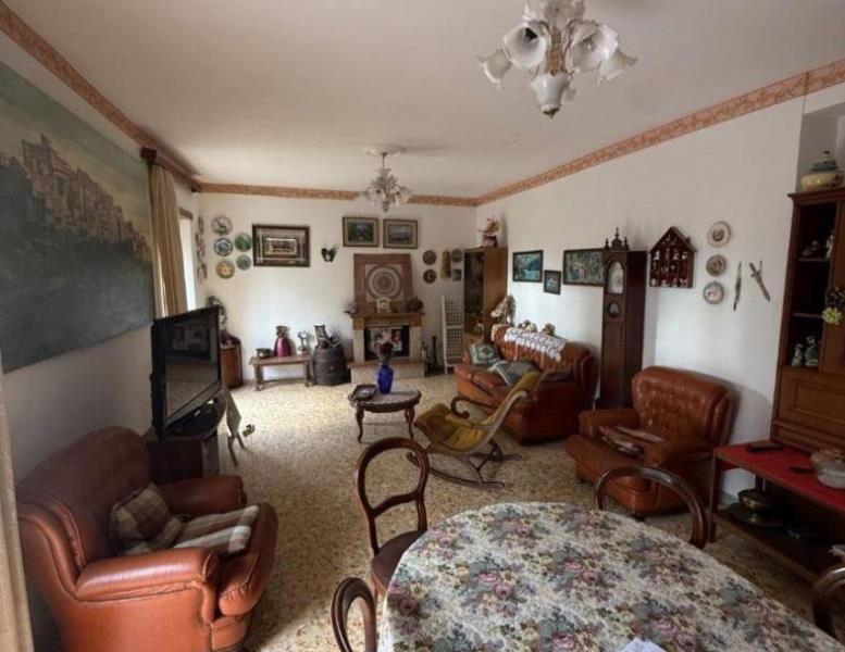 immagine annuncio 7 di 12