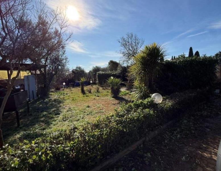 immagine annuncio 12 di 14