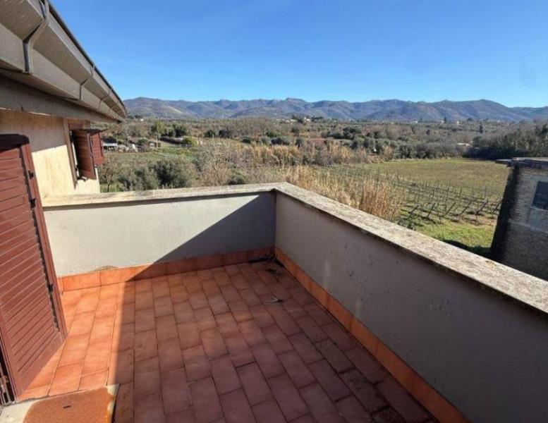 immagine annuncio 9 di 14