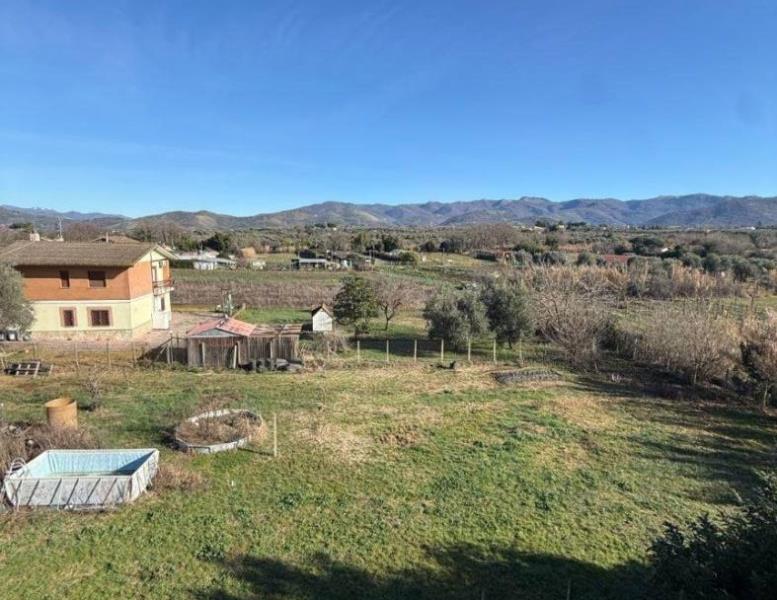 immagine annuncio 11 di 14