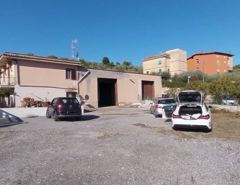 immagine annuncio 6 di 8