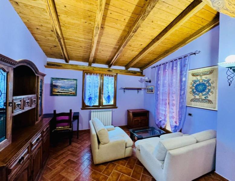 immagine annuncio 2 di 9