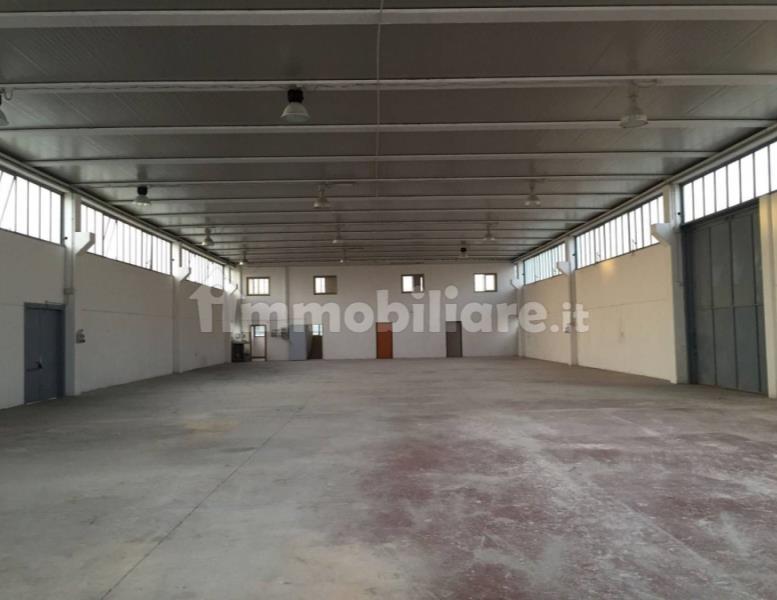 immagine annuncio 3 di 8