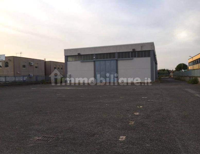 immagine annuncio 4 di 8