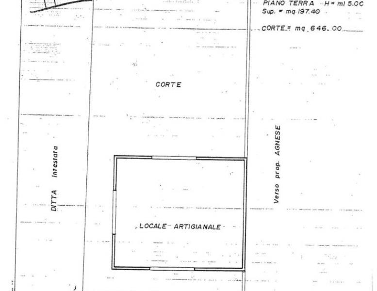 immagine annuncio 1 di 2